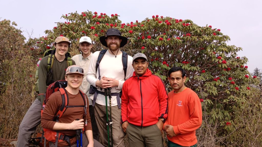 Rhododendron Flower