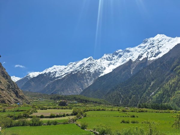 Panoramic view of Tsum Valley showcasing fertile farmlands,
