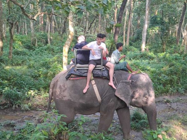 Chitwan-Jungle-Safari.