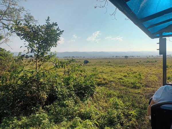 chitwan-jungle-safari-rhino