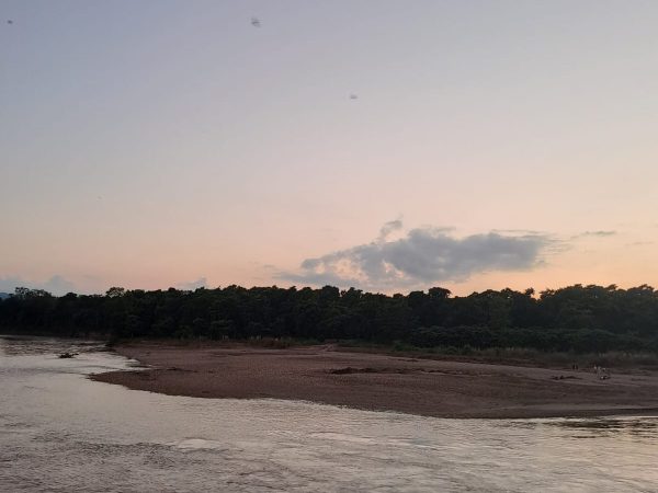 chitwan-jungle-tour